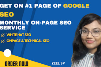 provide complete monthly SEO services to boost your website google ranking