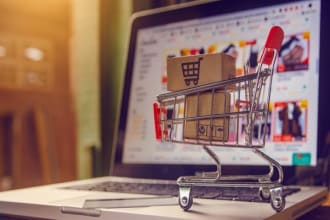write investor ready dropshipping startup business plan