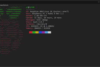 install and configure your raspberry pi as server