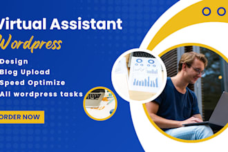 be your wordpress virtual assistant