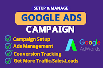 setup and manage google PPC campaigns for online store