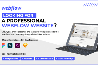 develop a webflow website for any niche or industry