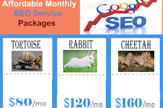 offer affordable monthly SEO services