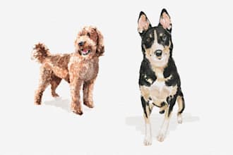 create a pet portrait illustration