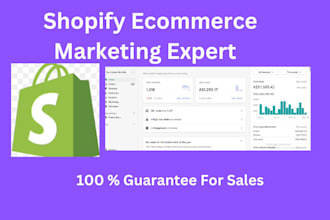 be your shopify  google ads manager for maximum sales