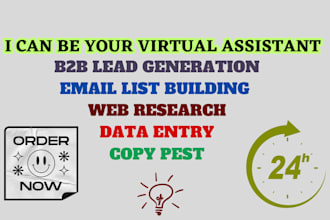 do b2b lead generation by web research, I can be your VA