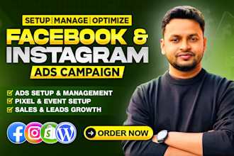 setup, manage facebook ads campaign, instagram ads, meta ads manager, meta pixel
