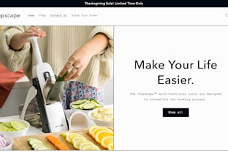 create a professional shopify dropshipping store for you, check example sites