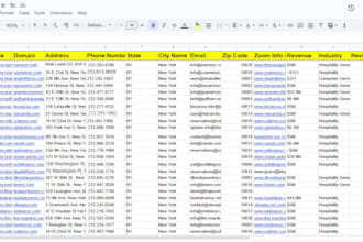 lead generation and email marketing expert