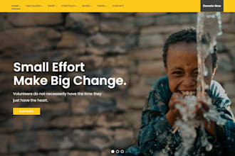 build a charity, donation, fundraising, ngo, website