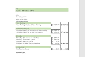 prepare income statement profit and loss in 24 hours