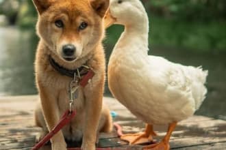be an empathetic ear