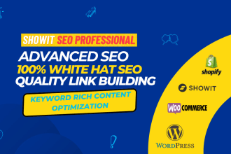 be your onpage showit SEO expert