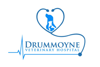 design amazing veterinary clinic logo within 14 hours