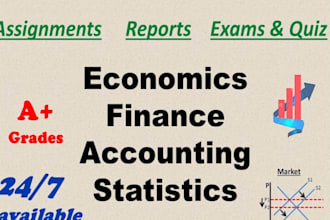 assist in accounting, finance, econometrics task