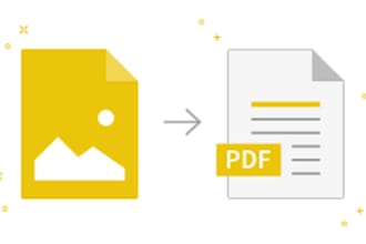 do manual typing, image to text and PDF conversion professionally