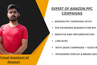 launch, rank amazon ppc compaigns and optimize and manage ads with low acos