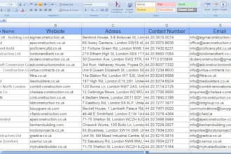 do excel data entry, web research, in 24hours
