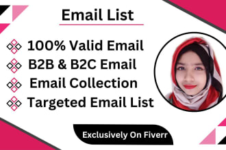 build a niche targeted email list in 24 hours