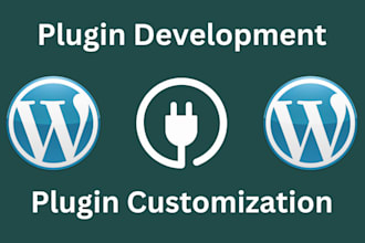 develop custom wordpress plugin