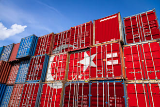 be your import and export agent in turkey