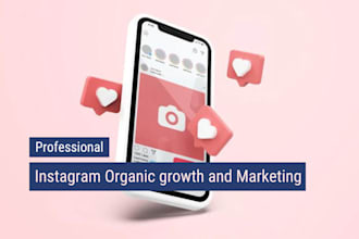 instagram organic growth and marketing