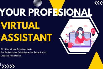 be your professional virtual assistant