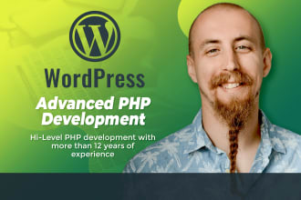develop a custom high level wordpress plugin or widget