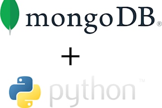 help you with your python assignment