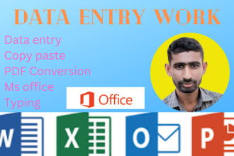do perfect data entry, copy paste, typing, web research