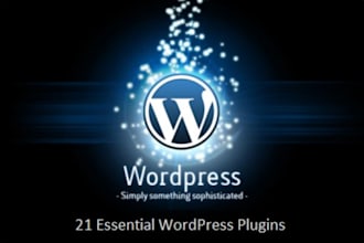 install and setup completely wordpress like Seo optimize, anti comment spam within 1 hour