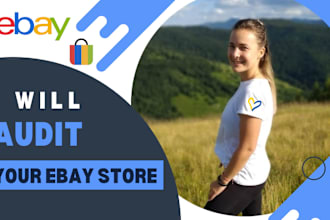 audit your ebay account and give recommendations  to increase sales