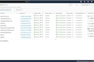 be your AWS devops, cicd, infra automation and support engr