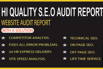 do SEO audit analyst report to rank your website