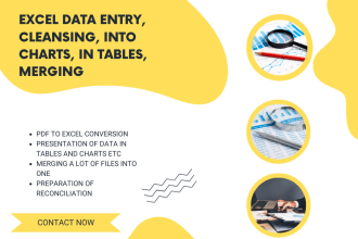 do excel data entry, data cleaning, charts, copy paste