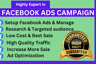 run a professional facebook ads campaign and an instagram ads campaign