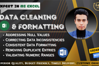 do urgent excel data cleaning and formatting as your requirement
