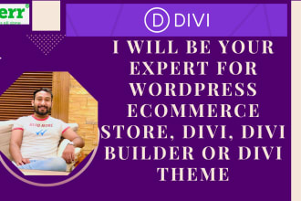 be your expert for wordpress ecommerce store, divi, divi builder or divi theme