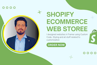 build shopify dropshipping store or ecommerce website