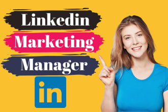 be your linkedin marketing manager and content creator