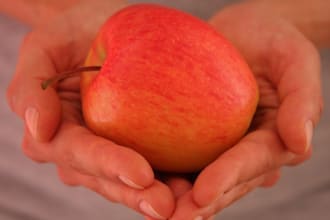 guide you to optimal health with holistic nutrition coaching