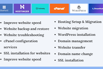 setup and transfer, dns, domain, hosting for website with bluehost, godaddy