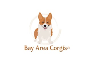 design unique animal and pet logo designs in 24 hours