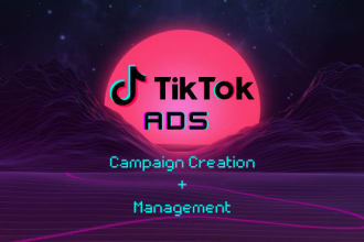 quickly set up and manage your tiktok ads