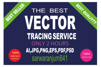 edit, vectorize, recreate, change, update, modify, your logo in 24 hours
