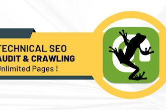 do premium website crawling and technical SEO audit report