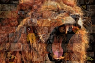 create a beautiful photo mosaic or collage with unlimited revisions