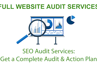 provide full website SEO audit services