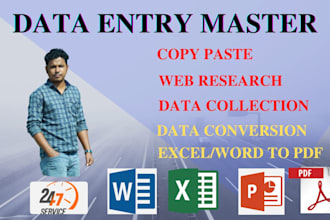 do professional accurate data entry and web research job