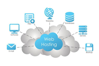 provide domain, hosting and maintain your website yearly